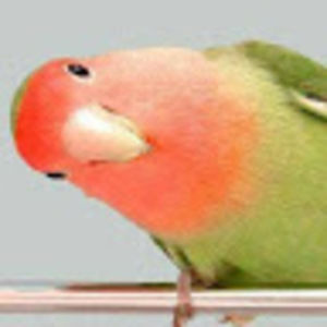 Meet your Posher, Micki